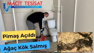Pimaş açma